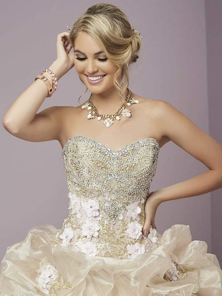 Quinceanera Collection - 26781 Floral Applique And Beaded Ballgown Special Occasion Dress