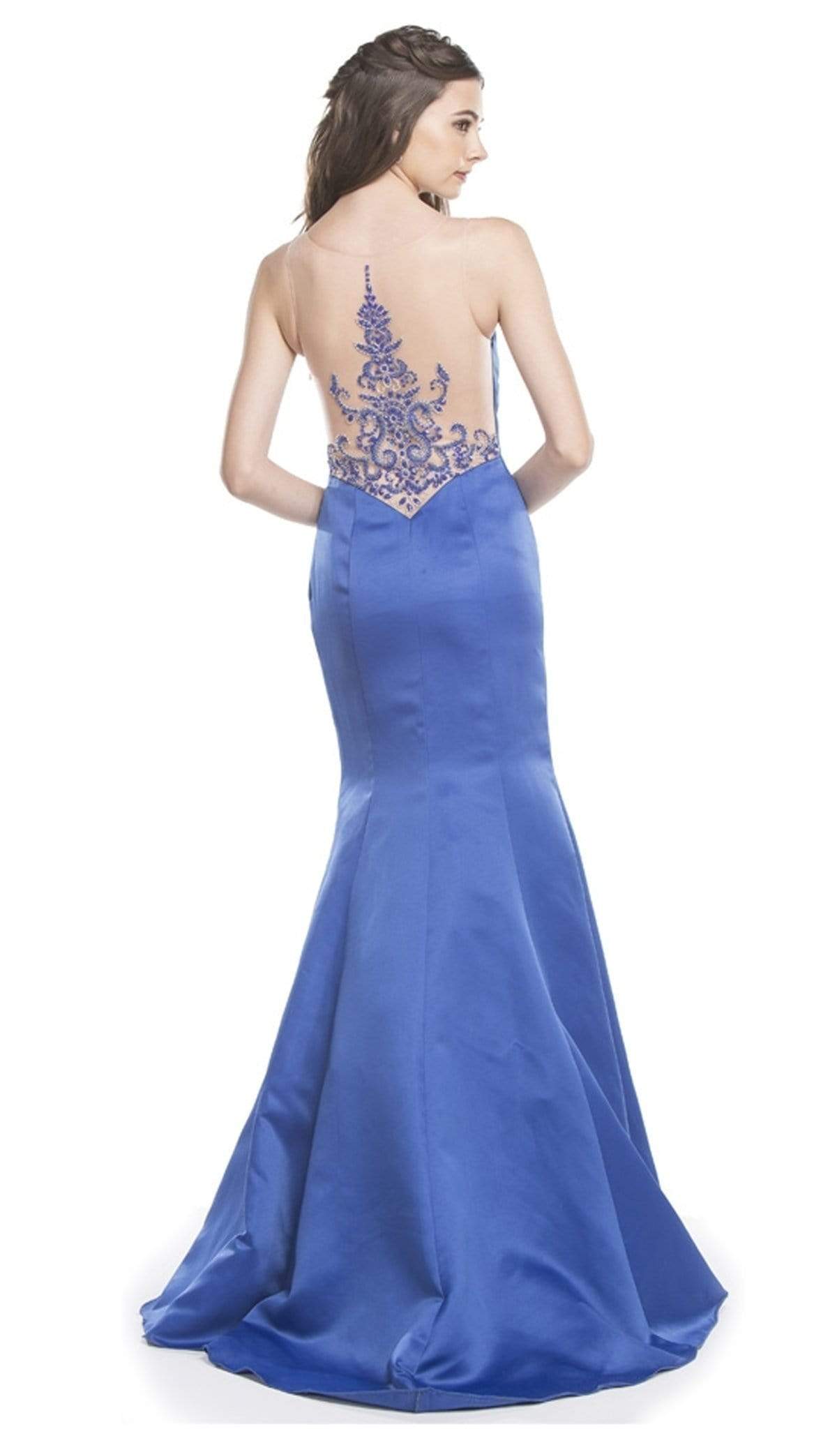 Sheer Fitted Trumpet Evening Gown Evening Dresses