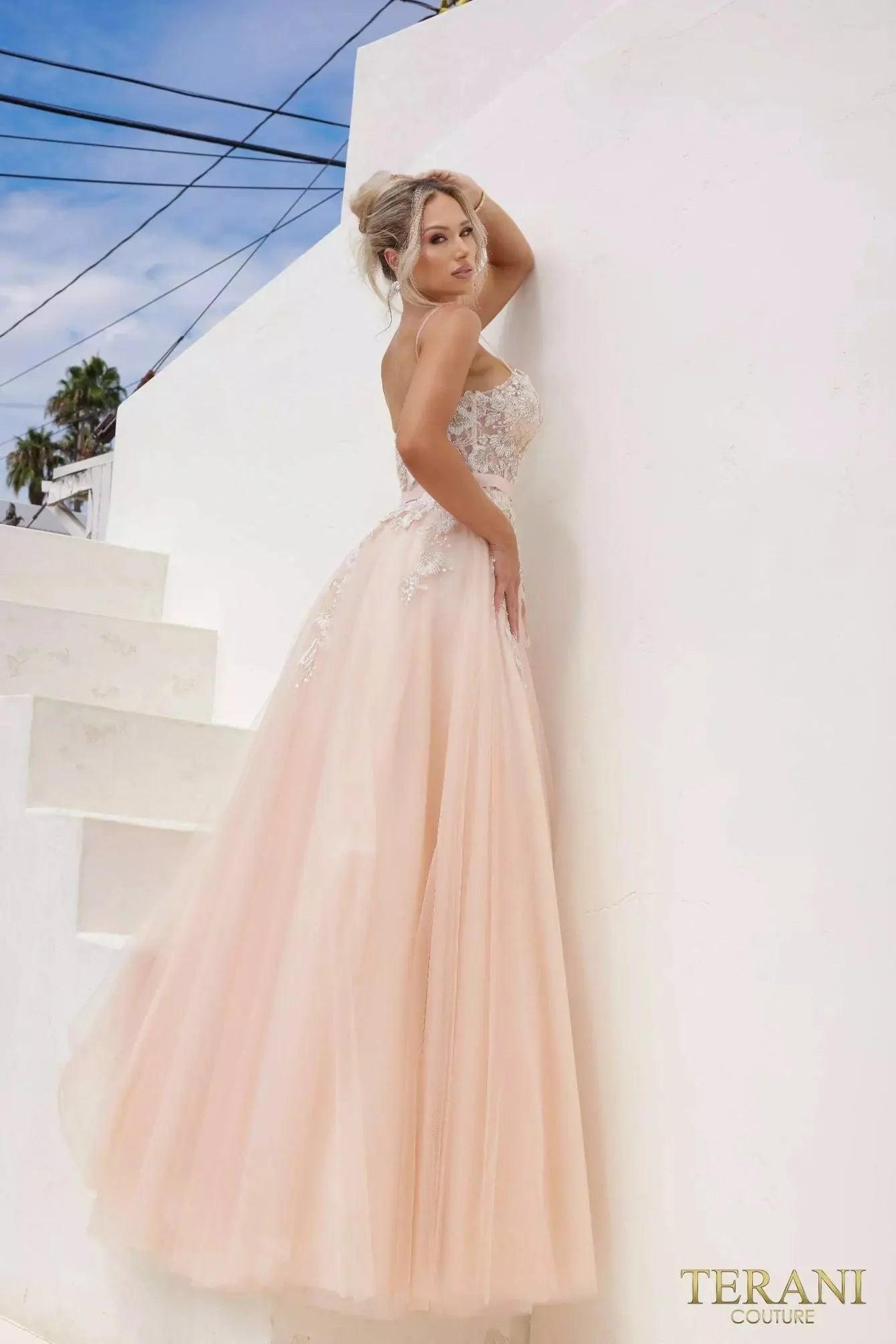 Terani Couture 241P2025 - Sleeveless Embroidered Ballgown Special Occasion Dress